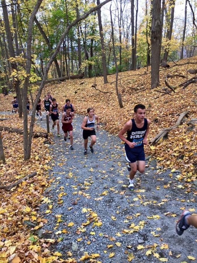 Eighth grader Matt Greco leads a parade of runners up a leaf strewn path during a recent cross country race.